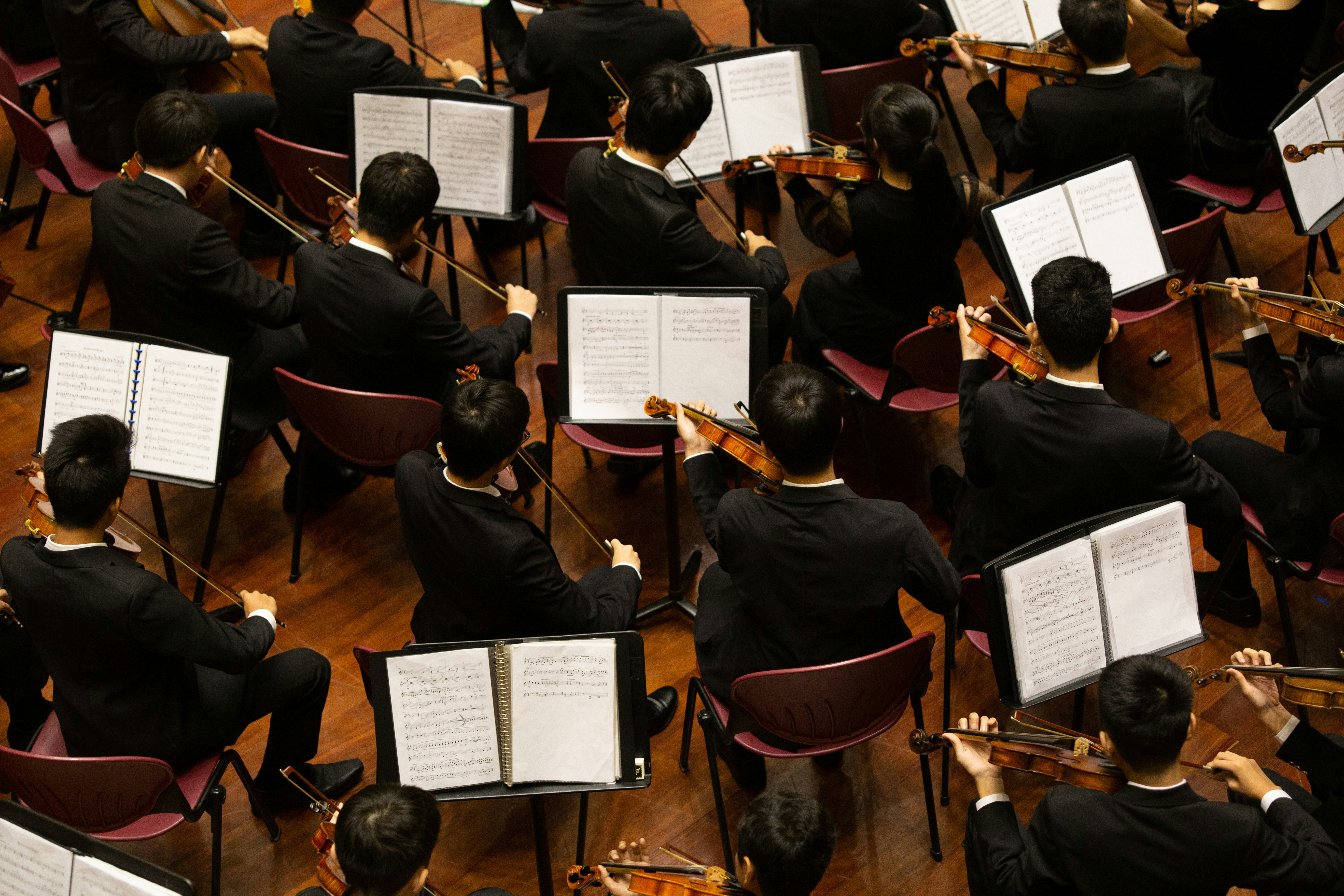 A collection of violinists sitting on chairs playing in an orchestra