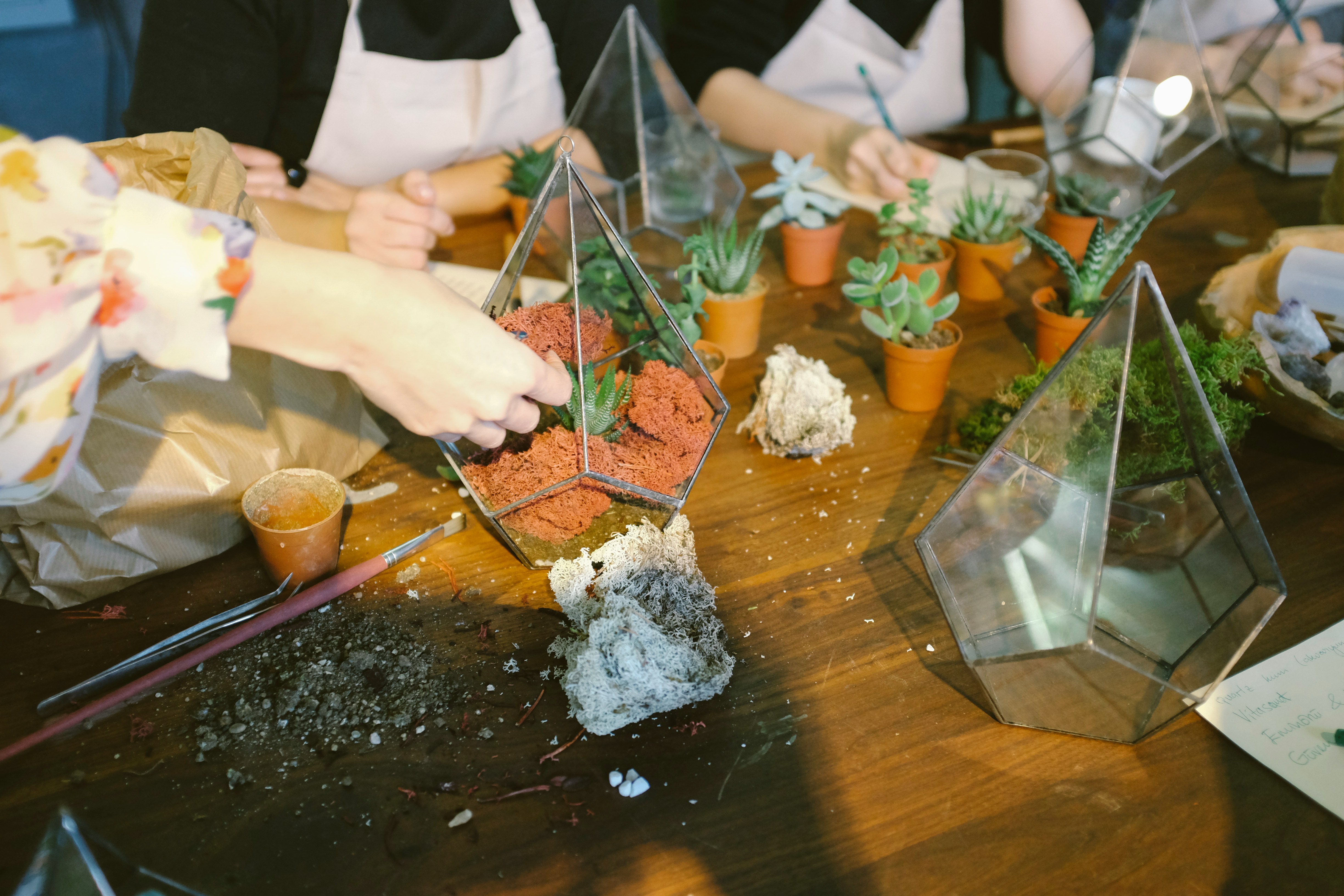 People sitting around a table potting plants representing a gardening workshop